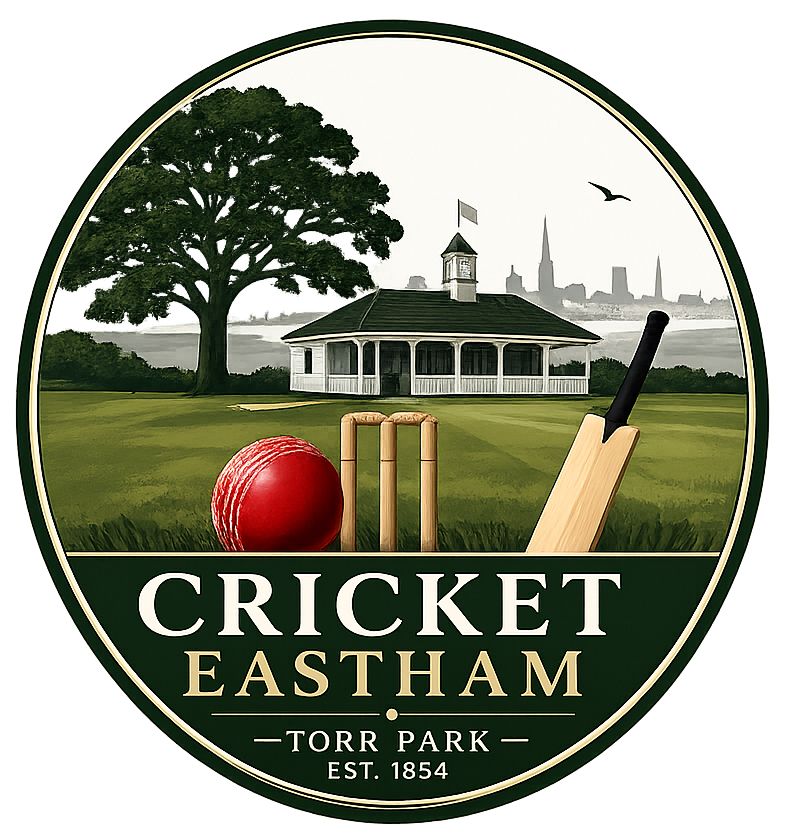 Icon representing Cricket at Torr Park